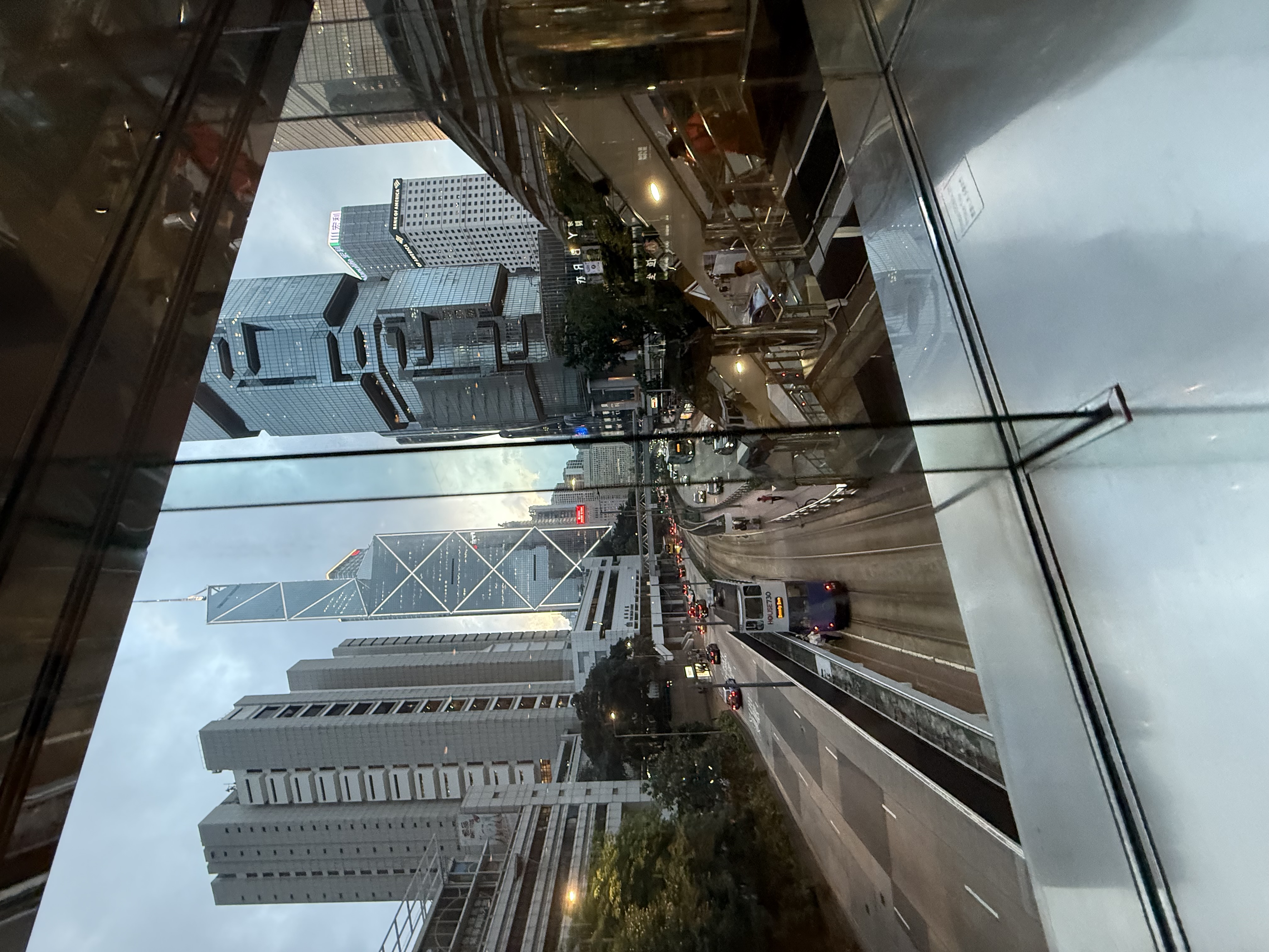 IMG_5010.jpeg
